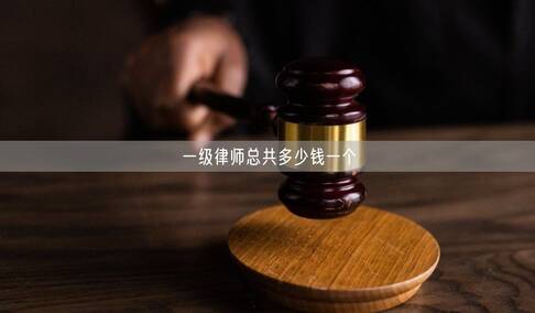 一級律師總共多少錢一個