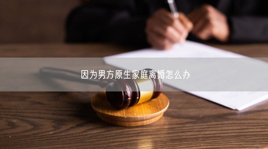 因為男方原生家庭離婚怎么辦