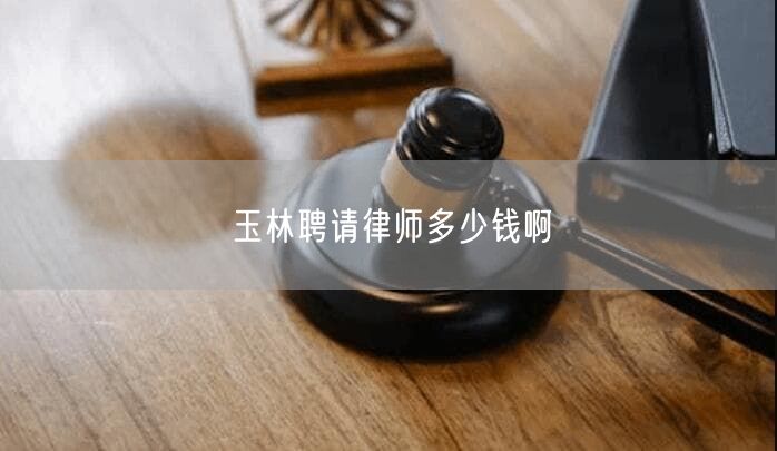 玉林聘請(qǐng)律師多少錢啊